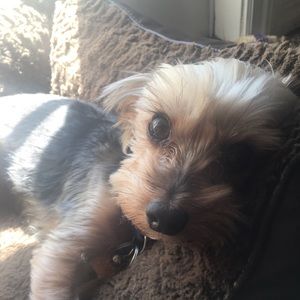 Meet your Posher, Edwin